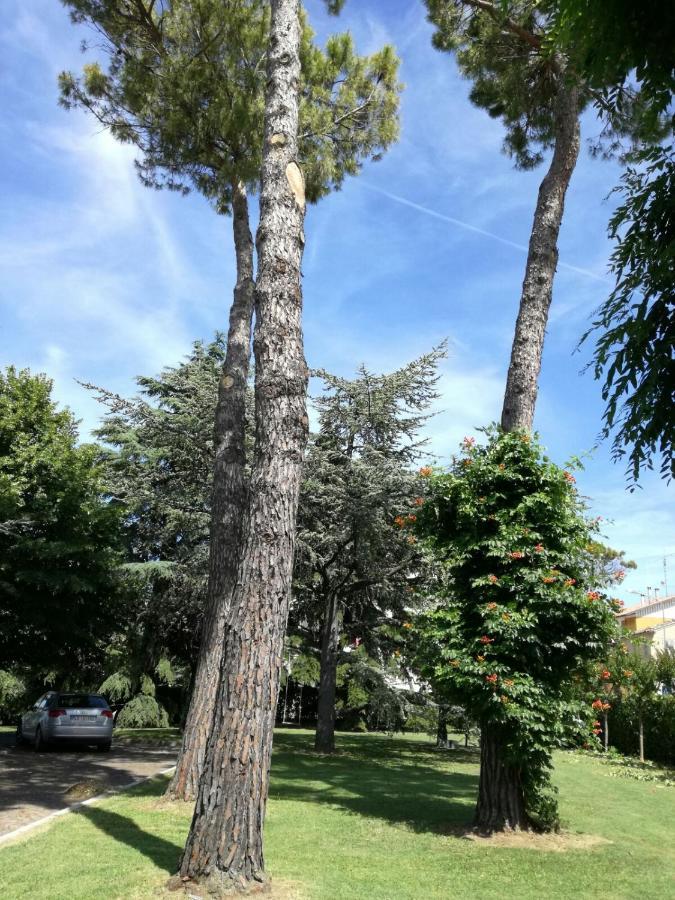 B&B Villa Lupidi Corridonia Exterior photo